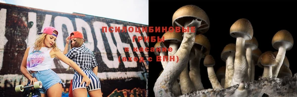 Альфа ПВП Аркадак