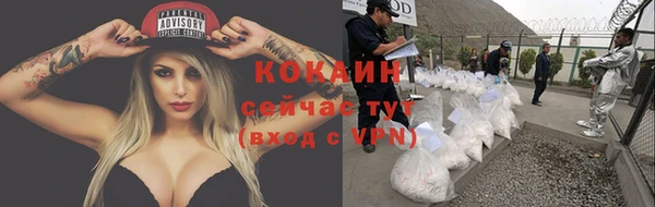 мяу мяу мука Армянск