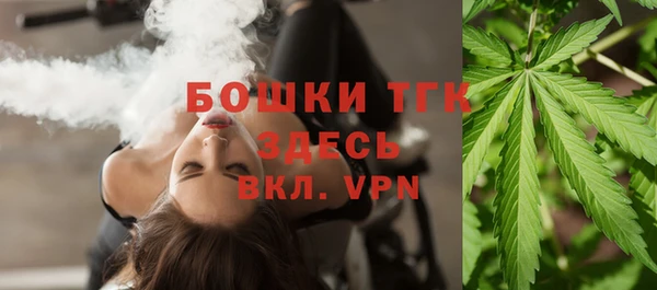 Альфа ПВП Аркадак