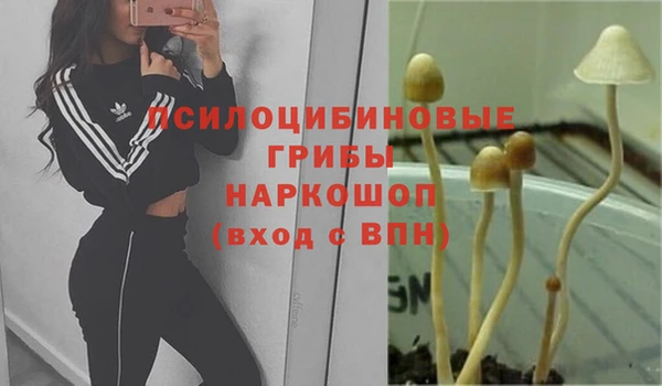 мяу мяу мука Армянск