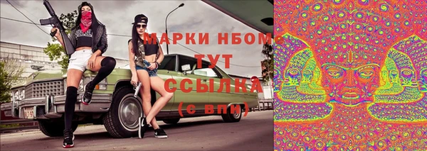 прущие грибы Арсеньев