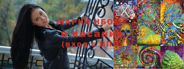 Альфа ПВП Аркадак