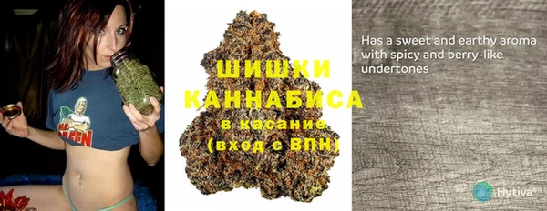 прущие грибы Арсеньев
