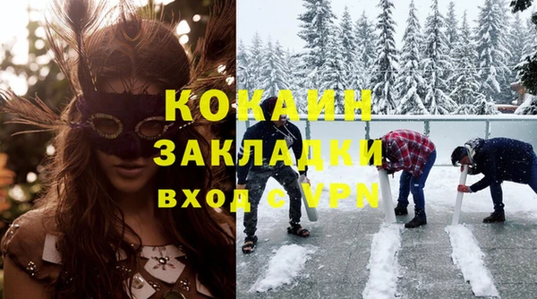 прущие грибы Арсеньев