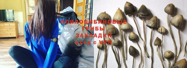 Альфа ПВП Аркадак